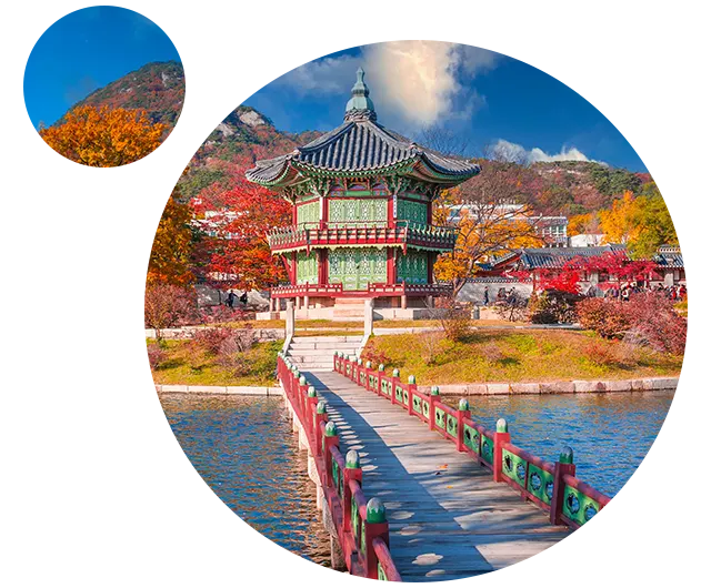 energie vibrante du Matin Calme